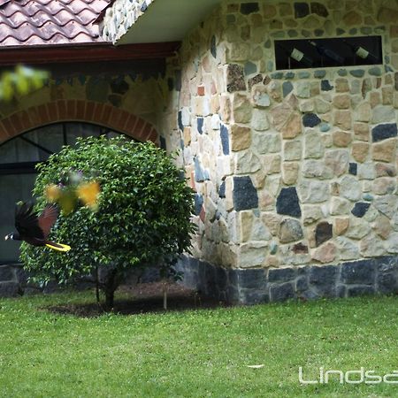 Gingerbread Restaurant & Hotel Nuevo Arenal Zewnętrze zdjęcie